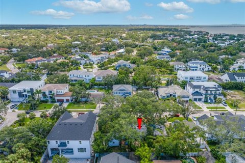 Land in Tampa, Florida № 1917034 - photo 7