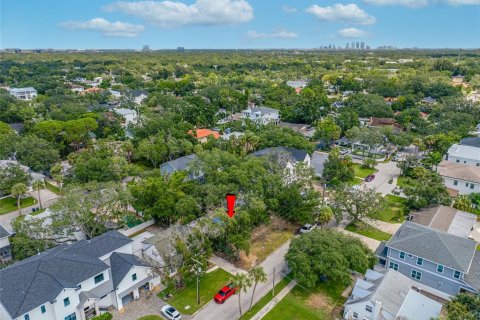 Land in Tampa, Florida № 1917034 - photo 5