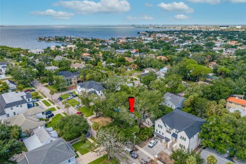 Land in Tampa, Florida № 1917034 - photo 2