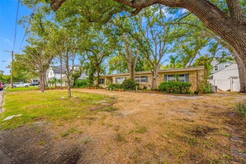 Land in Tampa, Florida № 1917034 - photo 12