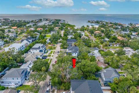Land in Tampa, Florida № 1917034 - photo 3