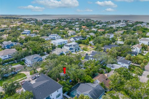 Land in Tampa, Florida № 1917034 - photo 4