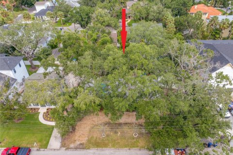 Land in Tampa, Florida № 1917034 - photo 10
