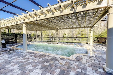 House in Lutz, Florida 4 bedrooms, 390.75 sq.m. № 1636967 - photo 13
