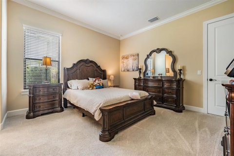 House in Lutz, Florida 4 bedrooms, 390.75 sq.m. № 1636967 - photo 18