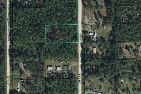 Land in Bunnell, Florida № 2160910
