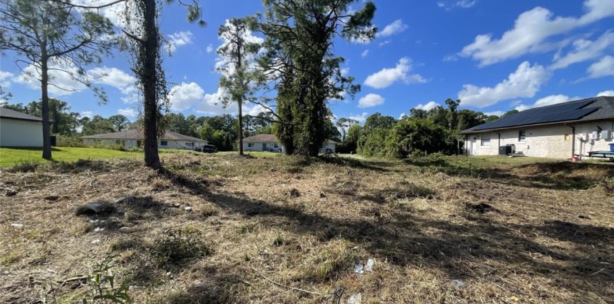 Land in Lehigh Acres, Florida № 1079517