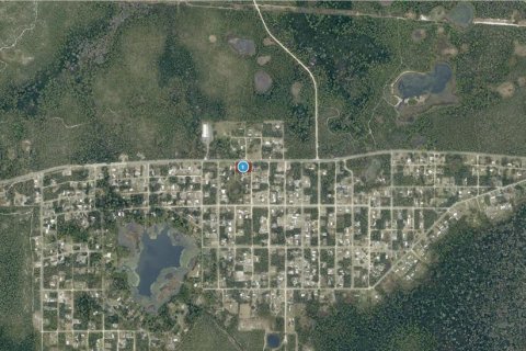 Land in Paisley, Florida № 2214416 - photo 3