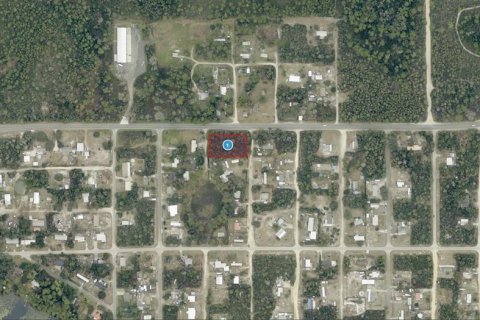 Land in Paisley, Florida № 2214416 - photo 2