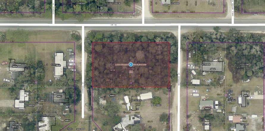 Land in Paisley, Florida № 2214416