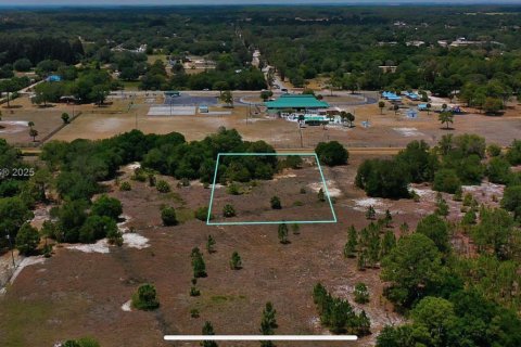 Land in Clewiston, Florida № 1865023 - photo 1