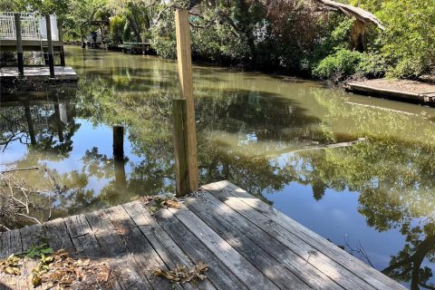 Casa en alquiler en Tampa, Florida, 3 dormitorios, 124.49 m2 № 1609572 - foto 20