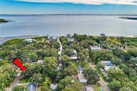 Casa en alquiler en Tampa, Florida, 3 dormitorios, 124.49 m2 № 1609572 - foto 3