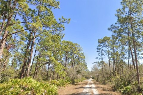 Land in Lake Placid, Florida № 2277530