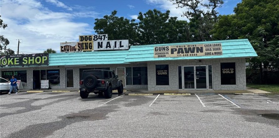 Commercial property in New Port Richey, Florida 671.22 sq.m. № 1810409