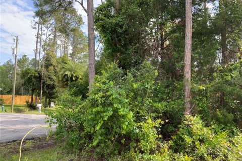 Land in Palm Coast, Florida № 509387 - photo 5