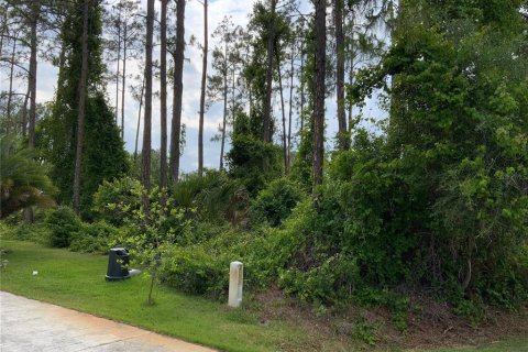 Land in Palm Coast, Florida № 509387 - photo 4