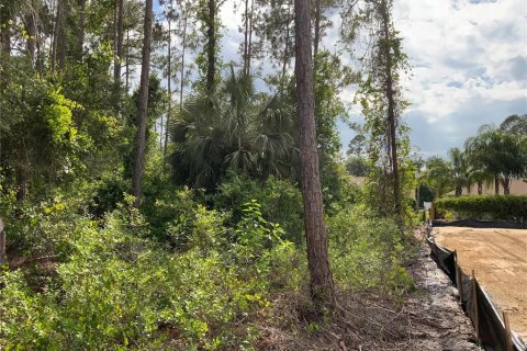 Land in Palm Coast, Florida № 509387 - photo 3