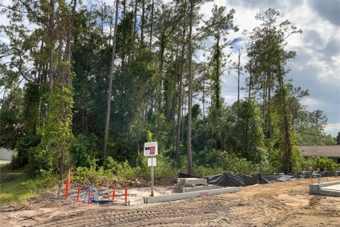 Land in Palm Coast, Florida № 509387 - photo 2