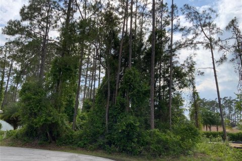 Land in Palm Coast, Florida № 509387 - photo 1