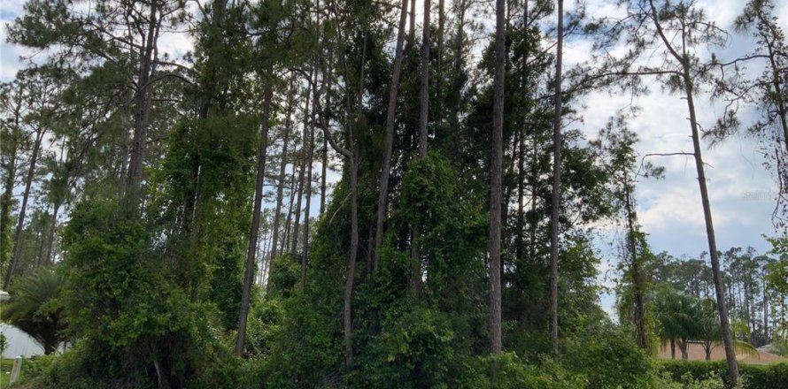 Land in Palm Coast, Florida № 509387