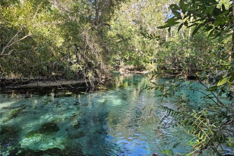 Дом в Спринг-Хилл, Флорида 5 спален, 303.14м2 № 2018336