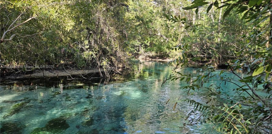 Дом в Спринг-Хилл, Флорида 5 спален, 303.14м2 № 2018336