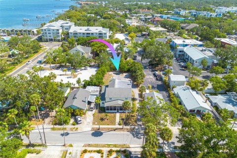Commercial property in Dunedin, Florida 434.78 sq.m. № 2136076