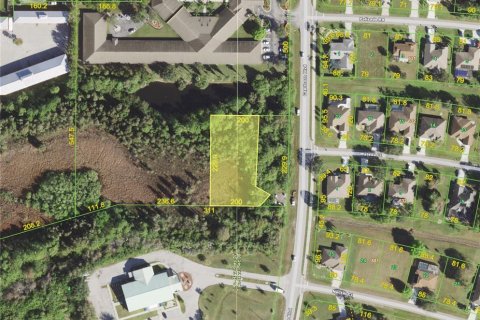 Land in Punta Gorda, Florida № 215608 - photo 4