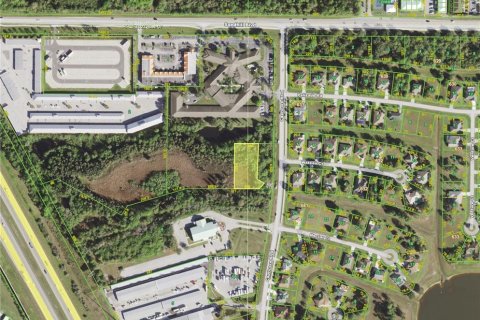 Land in Punta Gorda, Florida № 215608 - photo 3