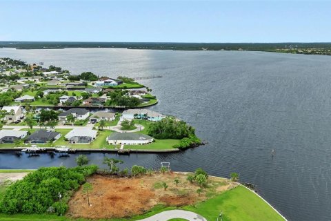 Land in Port Charlotte, Florida № 1321786 - photo 9
