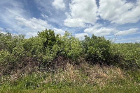 Propiedad comercial en Okeechobee, Florida № 2158303