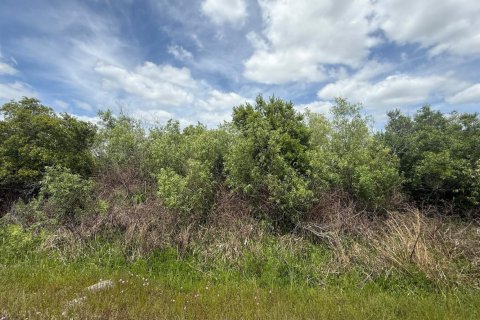 Propiedad comercial en venta en Okeechobee, Florida № 2158303 - foto 3