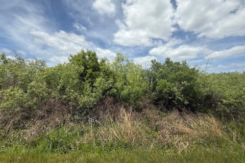 Propiedad comercial en venta en Okeechobee, Florida № 2158303 - foto 2