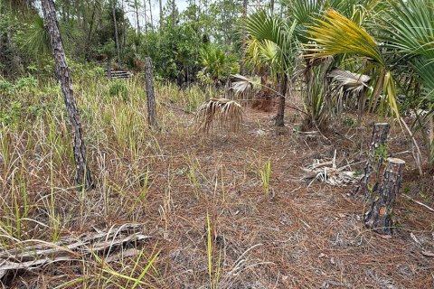 Land in Lehigh Acres, Florida № 2158690 - photo 5