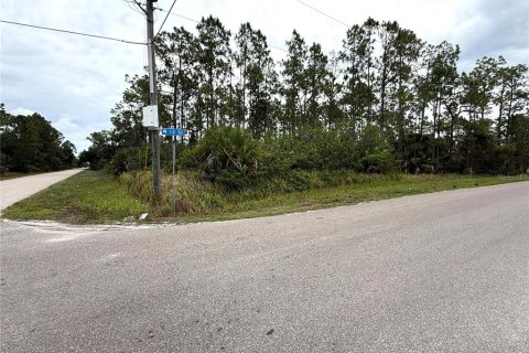 Land in Lehigh Acres, Florida № 2158690 - photo 2
