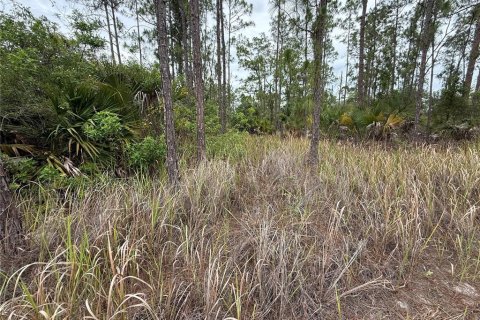 Land in Lehigh Acres, Florida № 2158690 - photo 4