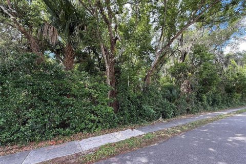 Land in Zellwood, Florida № 2105166
