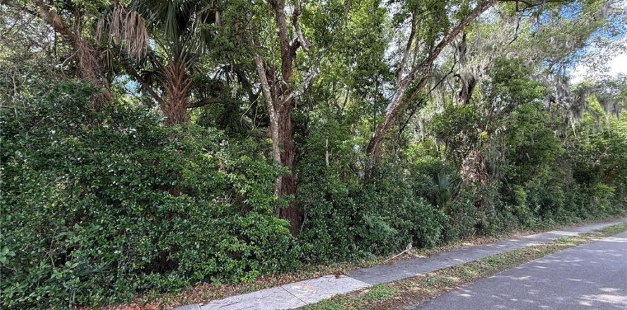 Terrain à Zellwood, Floride № 2105166