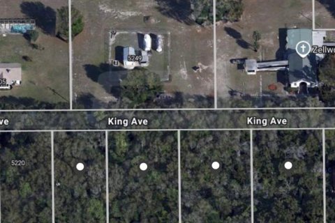 Terrain à vendre à Zellwood, Floride № 2105166 - photo 4