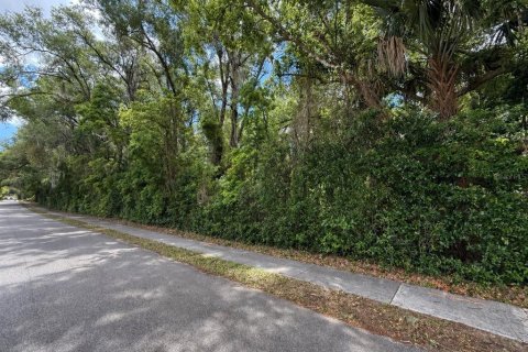 Terrain à vendre à Zellwood, Floride № 2105166 - photo 2