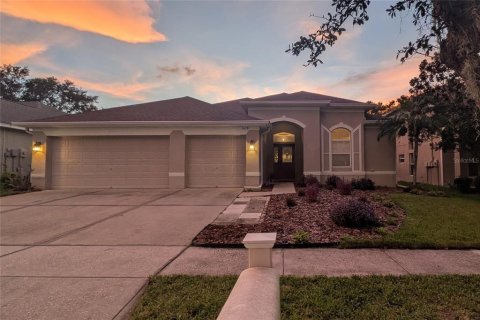 Villa ou maison à Valrico, Floride 5 chambres, 251.21 m2 № 2322693