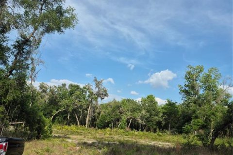 Terrain à Webster, Floride № 2206434