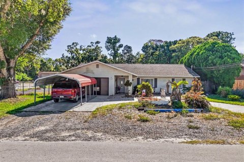House in Port Richey, Florida 3 bedrooms, 168.9 sq.m. № 2222210