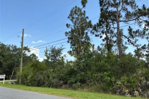 Land in Orlando, Florida № 2284703