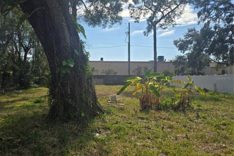 Land in Tampa, Florida № 2110918 - photo 2