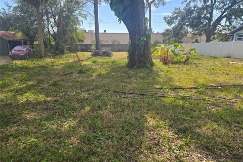 Terrain à Tampa, Floride № 2110918