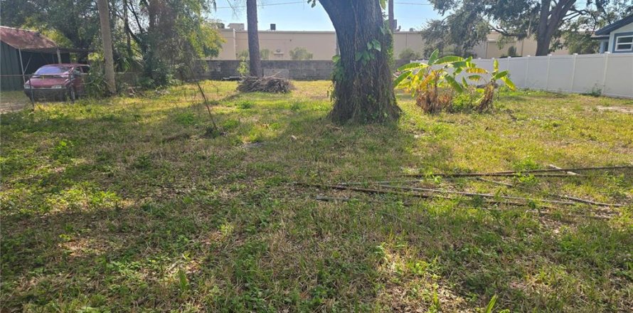 Land in Tampa, Florida № 2110918