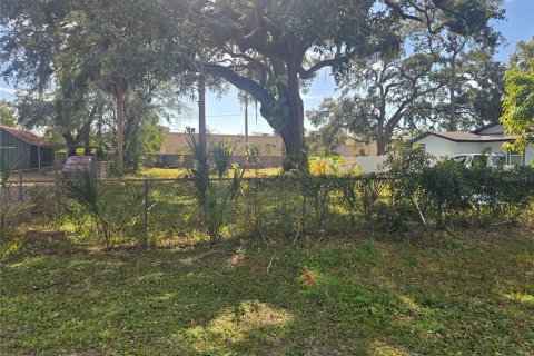 Land in Tampa, Florida № 2110918 - photo 3