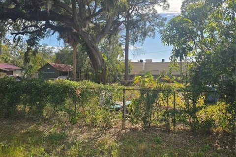Land in Tampa, Florida № 2110918 - photo 4